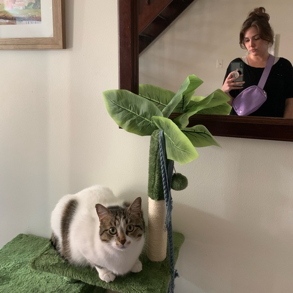 tandlola